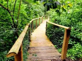 Treehouse In Devon - riverside woodland hideaway