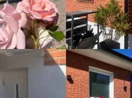 Vellinge Nest