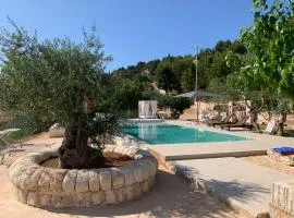 oasi di pace fasano NEW apartment