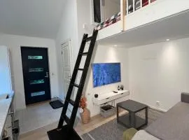 Cozy and modern studio house