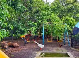 Aarushmay Resort