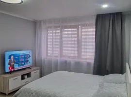 Apartamentai Grigiškes