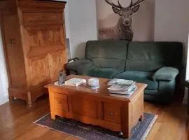 Grand appartement centre ville