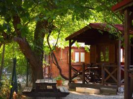 Cabañas Rurales - Las Taneas，位于耶斯特的酒店