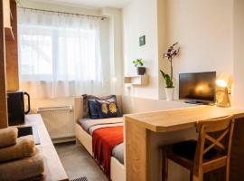 Apartmán u Horynů - Hýblova，位于捷克特热博瓦的酒店