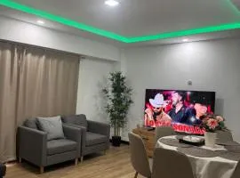 Entire apartment in the heart of downtown N&N