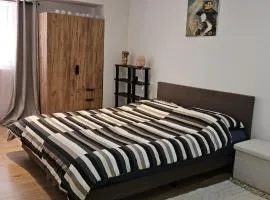Apartman Zvijezda
