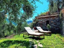 Almarea, a house between the sea and olive trees