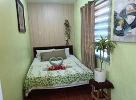 Amigas Transient，位于Santo Tomas的酒店