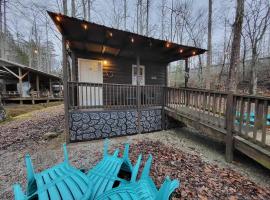 Pet Friendly Studio Cabin in Gatlinburg，位于加特林堡的酒店