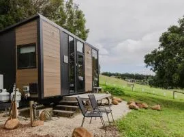 8 Farm Macadamia Plantation 2 by Tiny Away