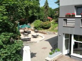 Penzion Harmony Javorník，位于Čtyřkoly的酒店