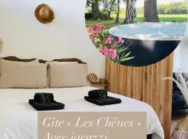 Gîte en Pays Basque Les Chênes Avec jacuzzi