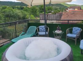 Vila la Izvorul Putinei，位于哈采格的酒店