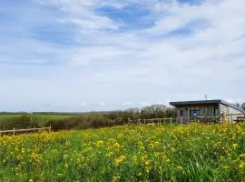 1 Bed in Bude 88499