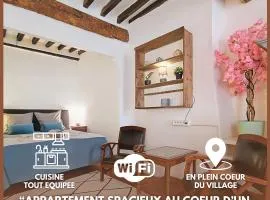 Appartement spacieux en plein cœur du village
