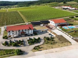 Pensiunea Fort Silvan，位于Camăr的酒店