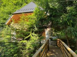 Forest House- dom nad górskim potokiem，位于Juszczyn的酒店