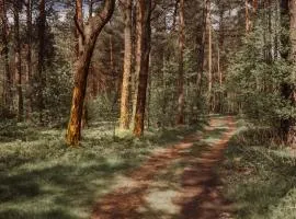 自然商务SPA酒店