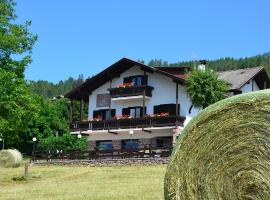 Hotel Garni Edy，位于戴亚诺的酒店