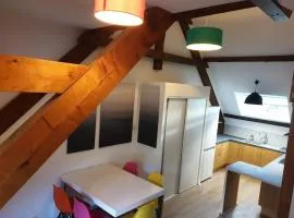 Beautiful apartment in a bucolic, quiet setting