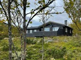 Cabin In Uvdal With A View Ski-Inout