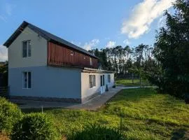 Liza's house