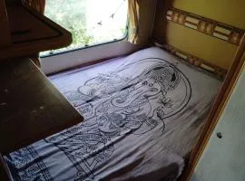 Uljanas caravana for 2 with view of the rescued horses