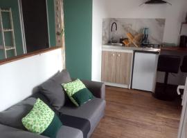 Studio thème Dublin à Valdivienne，位于Cubord的酒店