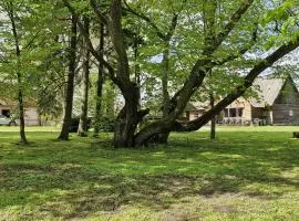 Holiday house Mežmuiža