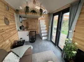 Tiny forest lodge with direct access to forest and nature