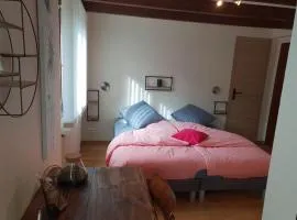 Charmantes chambres d'hôtes en montagne, animaux admis sur accord - FR-1-589-729