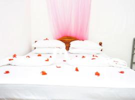 Cozy Secrets Hotel & Hostel，位于丹不拉的酒店