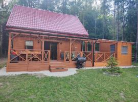 Domek na Mazurach w otulinie leśnej "Leśne zacisze"，位于维德米内的酒店