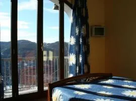 野生兰花住宿加早餐旅馆