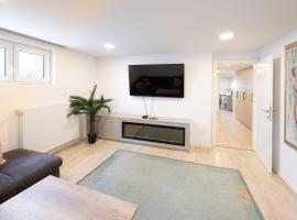 The Nice Apartment，位于多姆扎莱的酒店