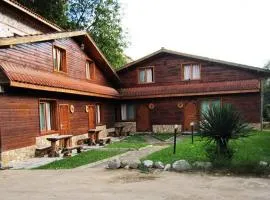 Стария Чинар