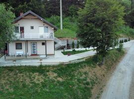 Vila Vlasina，位于弗拉西纳里德的酒店