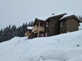 Apartment in Voss - Tr&aring;st&oslash;len，位于斯屈勒斯塔穆的低价酒店