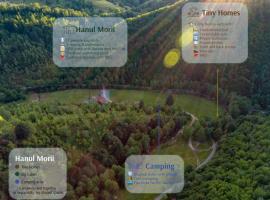 Hanul Morii，位于Ciucea的酒店