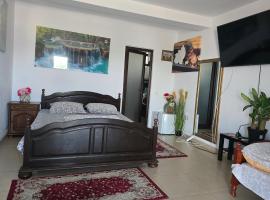 Casa Rico，位于图尔恰的带泳池的酒店