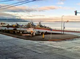 Vista al Beagle