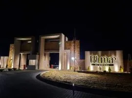 Blumar El sokhna وادي دجله