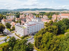 Hotel Cieplice MEDI & SPA，位于耶莱尼亚古拉的酒店