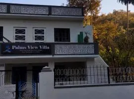 Palms View Villa