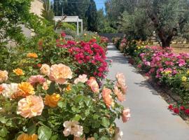 Zeituna Lodge a Porto Cesareo，位于托雷拉皮罗的木屋