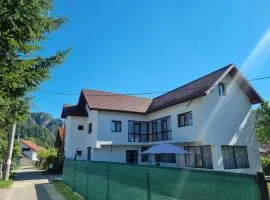 Vila Avram