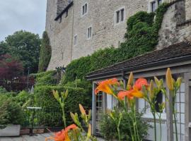 Cruise durch das Herz der Altstadt，位于拉珀斯维尔-约纳的酒店