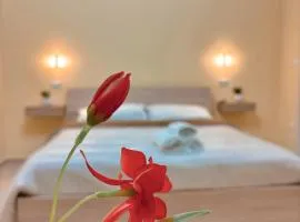 La Libellula - via Diaz 34