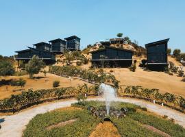 Origen75 Loft - Villas - Skypool - Viñedo, Valle de Guadalupe，位于瓜达鲁佩镇的酒店